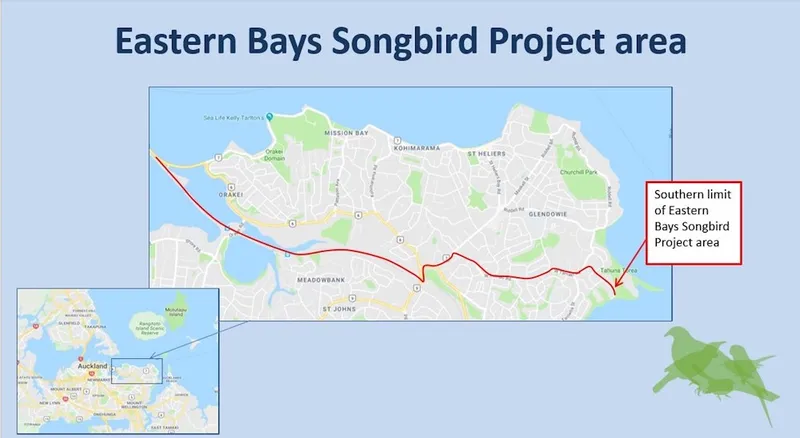 A map showing the extent of the planned inner-east Auckland pest free zone, covering much of the Ōrākei ward. (Map: Auckland Council)