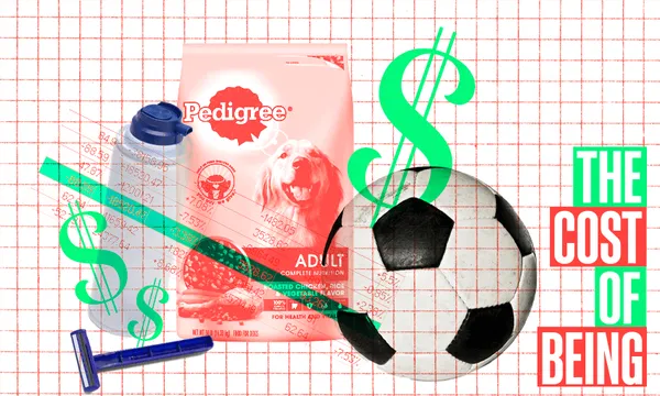 FeatureImage_TCOB_SoccerBall_DogoFood.png