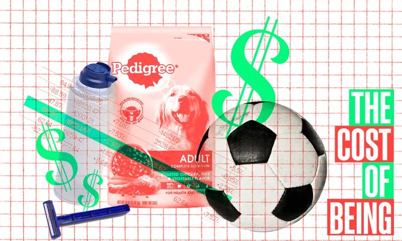 FeatureImage_TCOB_SoccerBall_DogoFood.png