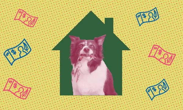 pet-bonds.png