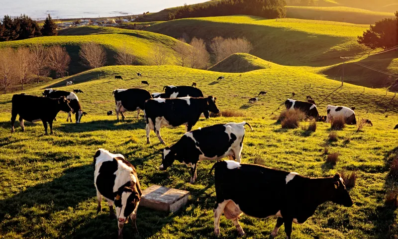 Cows In Farm Against Sky