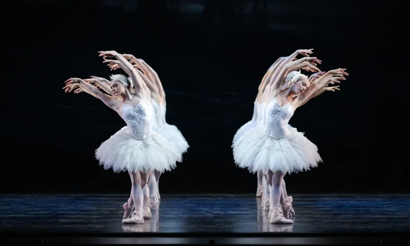 two lines of dancers in swan costumes, sparkly and snowy white tutus, arching away from each other with perfect poise and synchrony