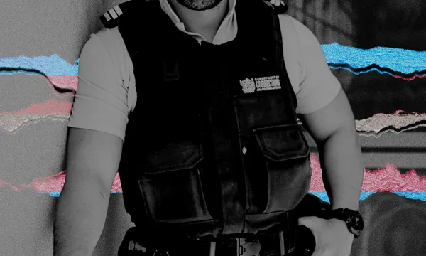 CorrectionsOffences.png
