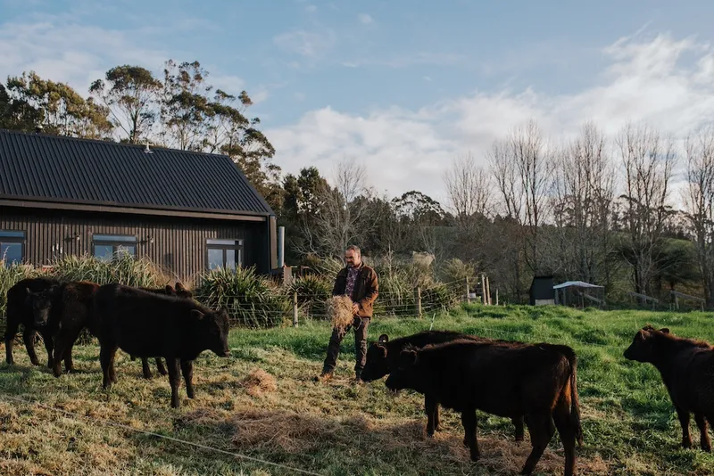 NZ Lifestyle Block