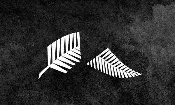 NZR-governance.png