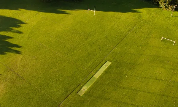 grass.jpg