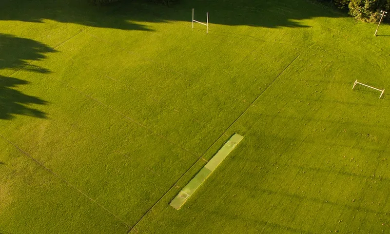 grass.jpg