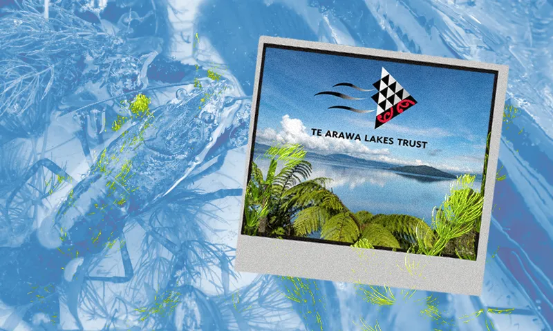 A collage with a blue lake background featuring a kewai and oxygen weeds, with an image of Lake Rotorua and Te Arawa Lakes Trust logo over the top.