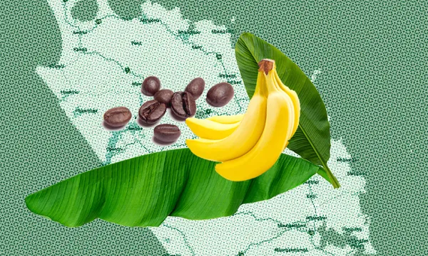 FeatureImage_CoffeeBeansBananas_Northlandpng.png