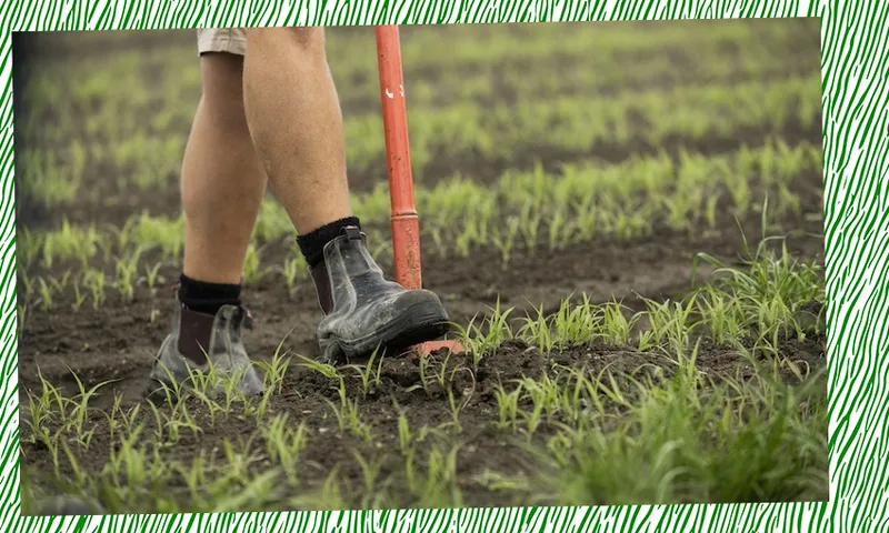 FEatureImage_regenerative-agriculture.png