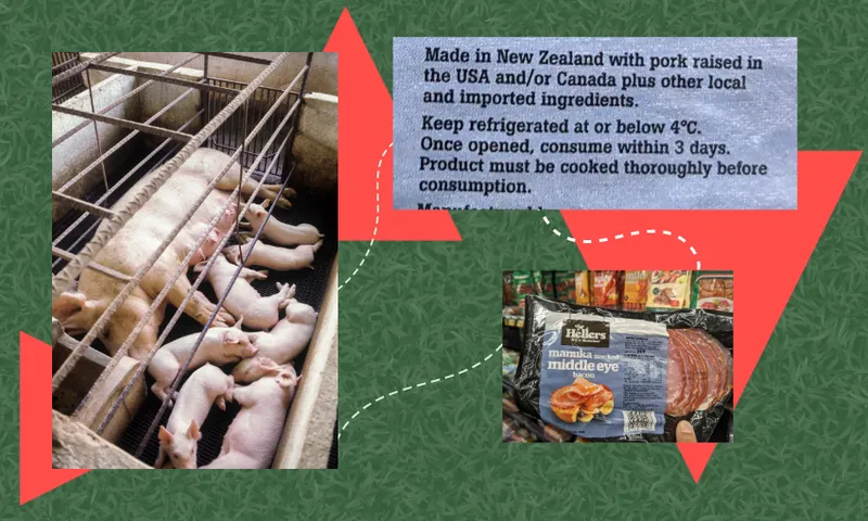 animal-welfare-shanti.png
