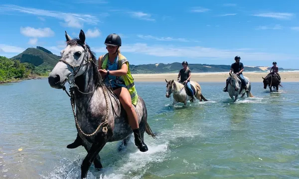 Horse-treks-feature.png