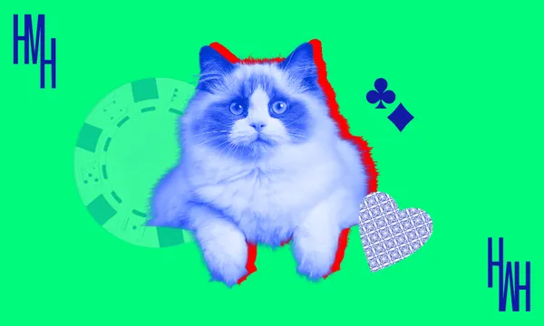 cat-vet-hmh.png