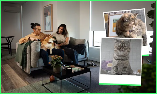 FeatureImage_LivingWithPets.png
