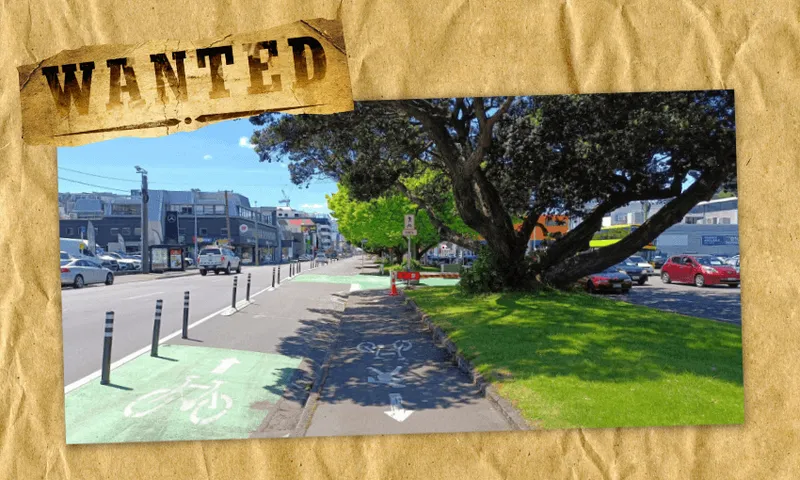 FeatureImage_WantedCycleLane.png