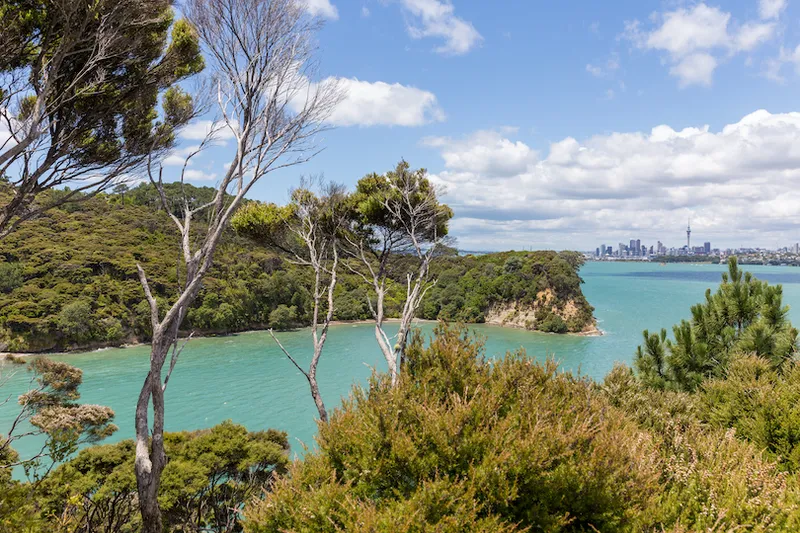 View of Auckland City from Kauri Point Centennial Park