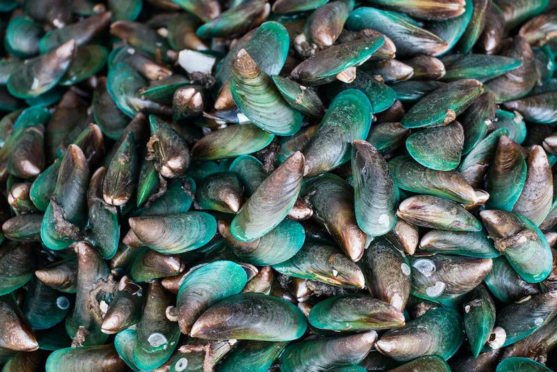 Mussel in the market