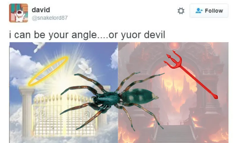 HMH_FeatureImage-5.png