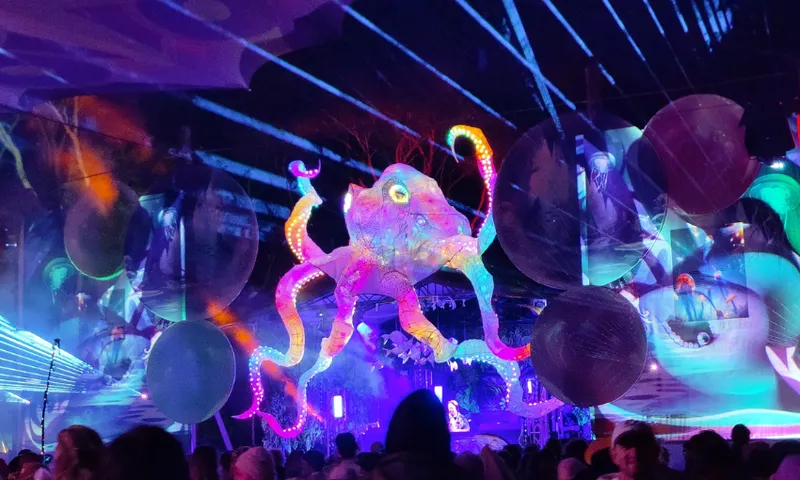 festival-feature-.png