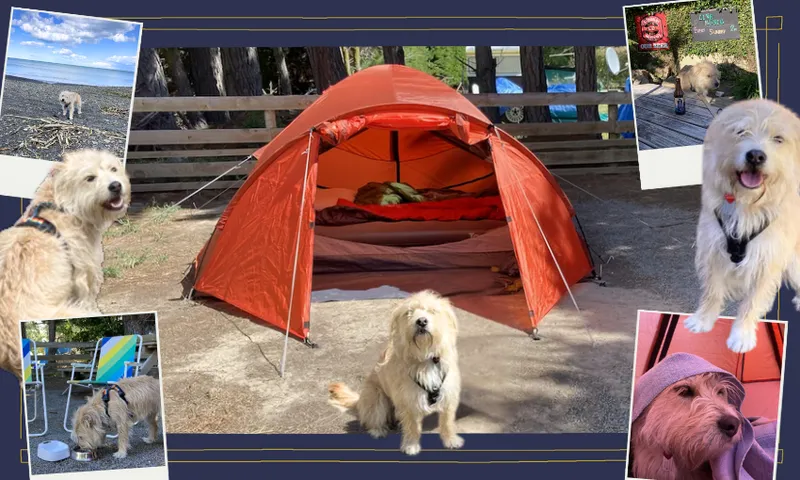 WVY6gUhq-Travel-Week-Feature-Image.png