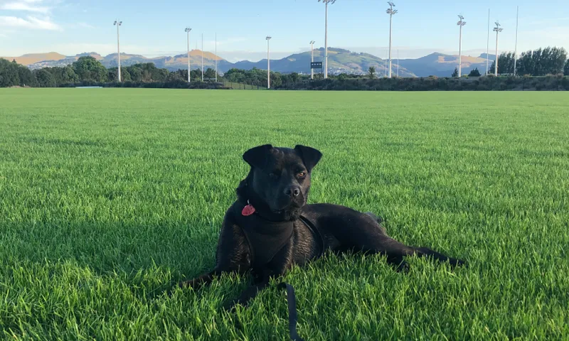 20211219_072549375_iOS.png