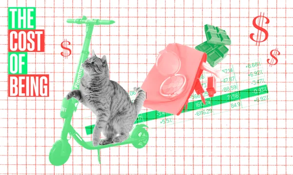 A gray cat sits on a green scooter with a red makeup bag in the background. The image features a graph and dollar signs, with the words "THE COST OF BEING" in bold red and green text on the left.