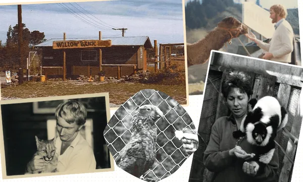 FeatureImage_CHCHs-first-zoo.png
