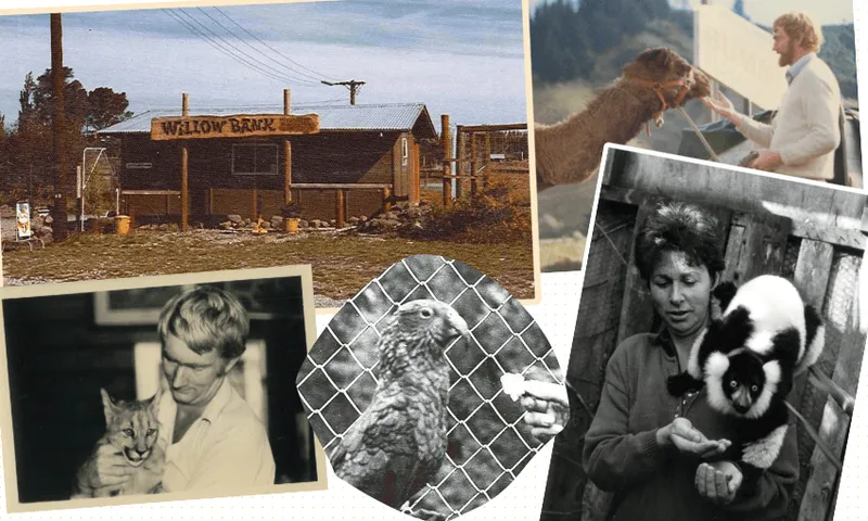 FeatureImage_CHCHs-first-zoo.png