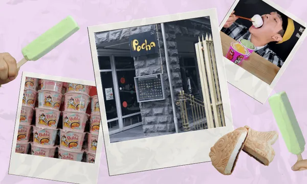 Collage with images of green popsicles, rows of ice cream tubs, a storefront with "Pocha" signage, a person enjoying ice cream, and ice cream sandwiches on a light purple background.