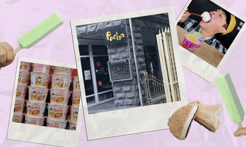 Collage with images of green popsicles, rows of ice cream tubs, a storefront with "Pocha" signage, a person enjoying ice cream, and ice cream sandwiches on a light purple background.