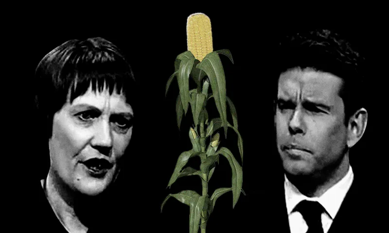 featureimage_corngatev4.png