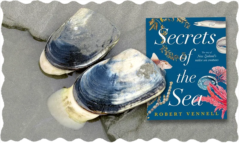Secrets-of-the-Sea-book.png