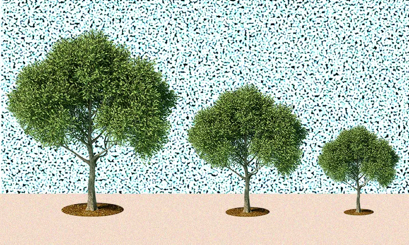 FeatureImage_Degrowth.png