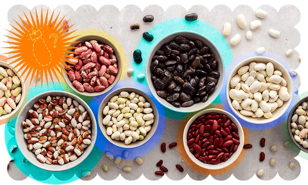 who-is-bean-queen-.png