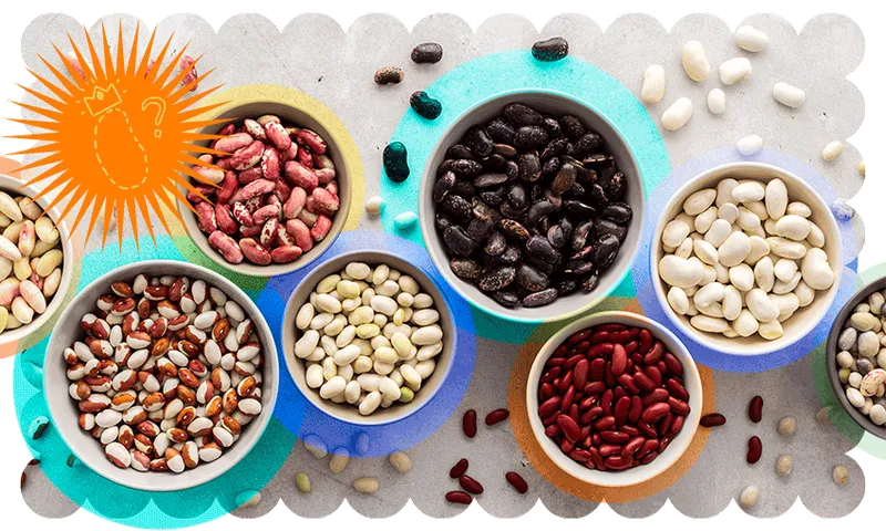 who-is-bean-queen-.png