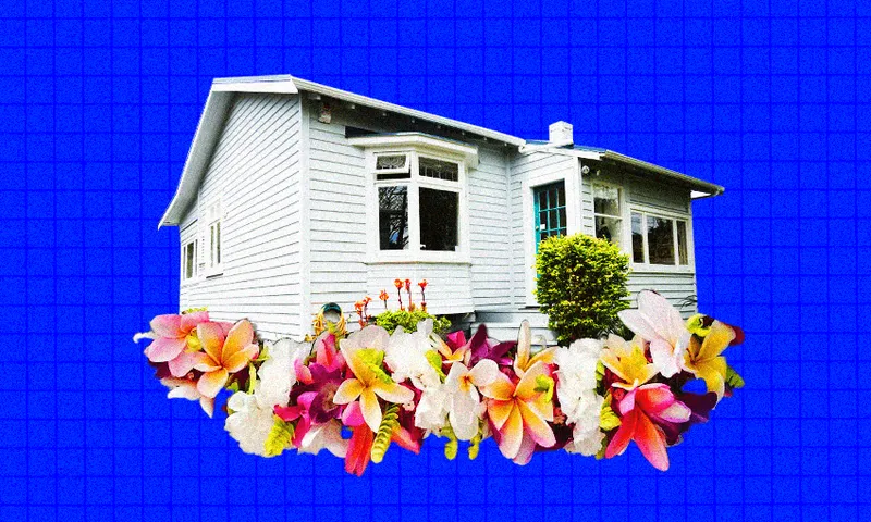 FeatureImage_PasifikaHomes.png