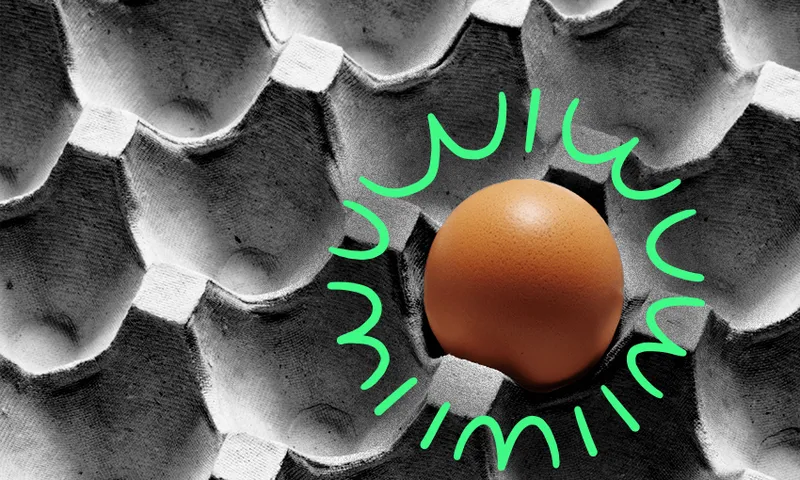 eggs