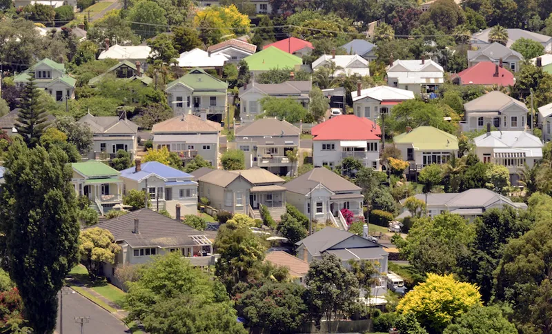 Suburban houses in Auckland