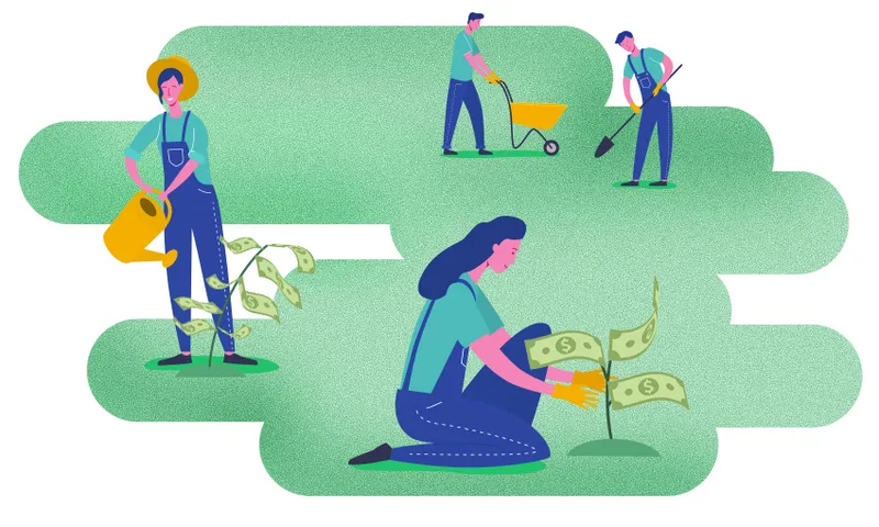 Kiwi wealth money tips