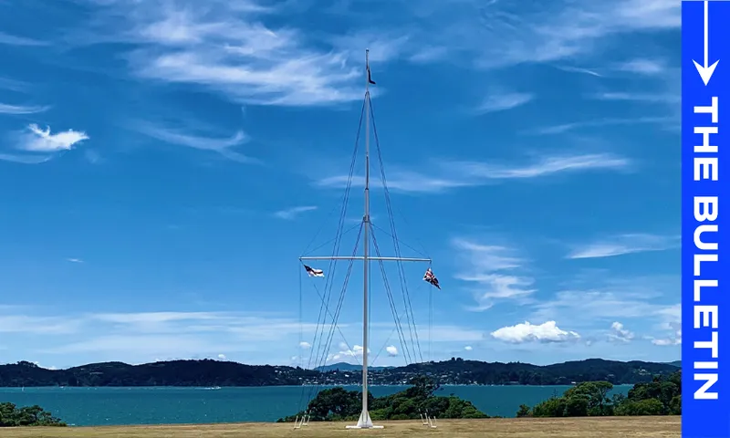 waitangi flagpole bully
