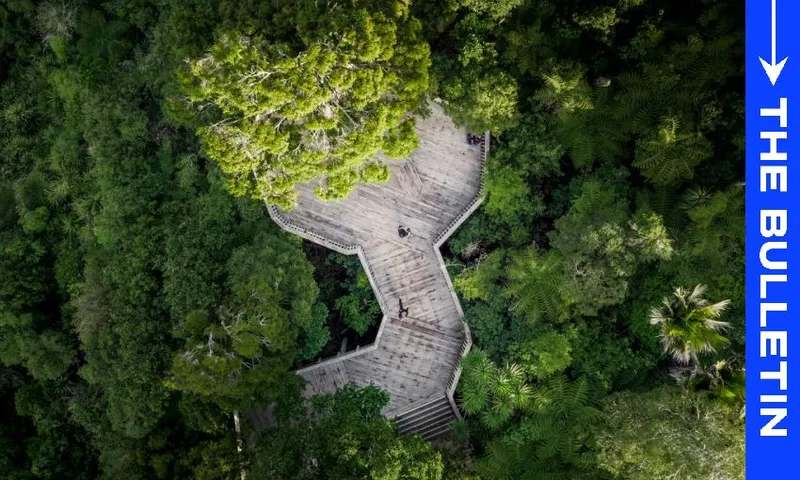 aerial-view-of-people-on-wooden-platform-surrounded-by-native-bush-1.jpg