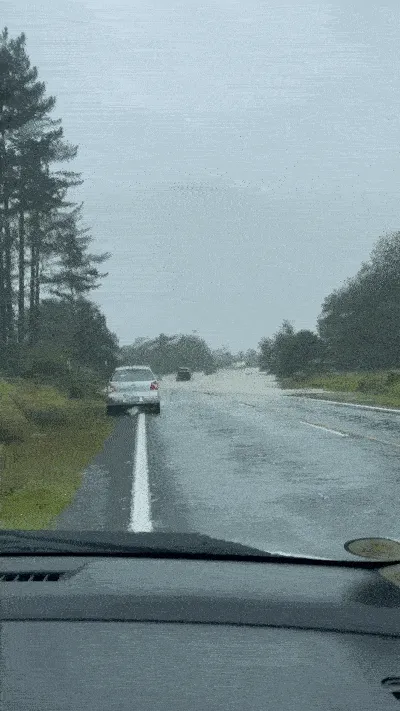 Hikurangi