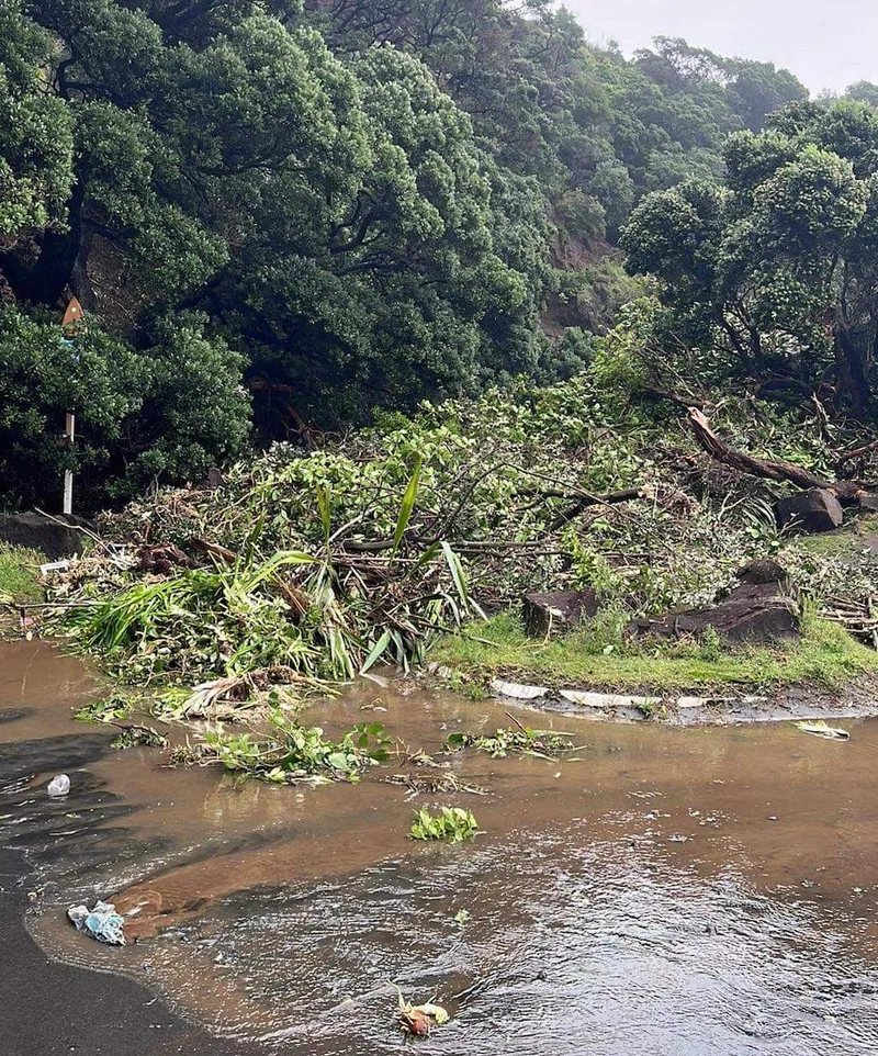 Piha