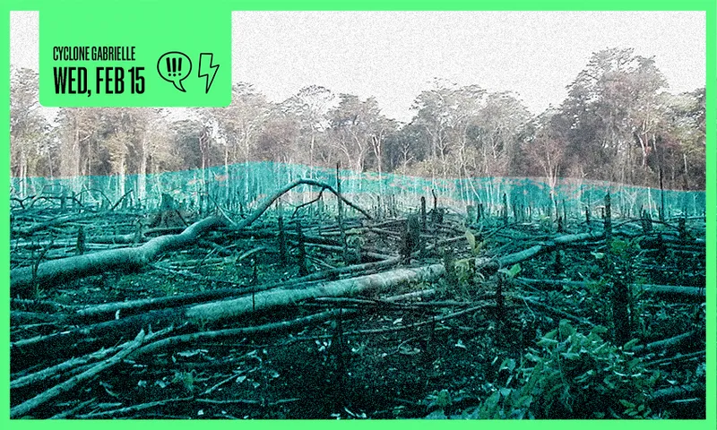 a clear cut forest with a blue wash that looks like a flood, sort of. and a frame saying 'cyclone gabrielle wedensday 15 february'