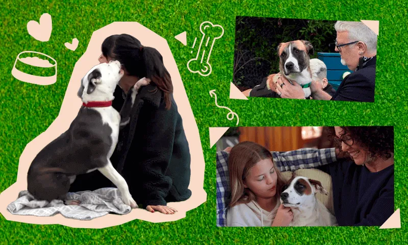 dog-house.png