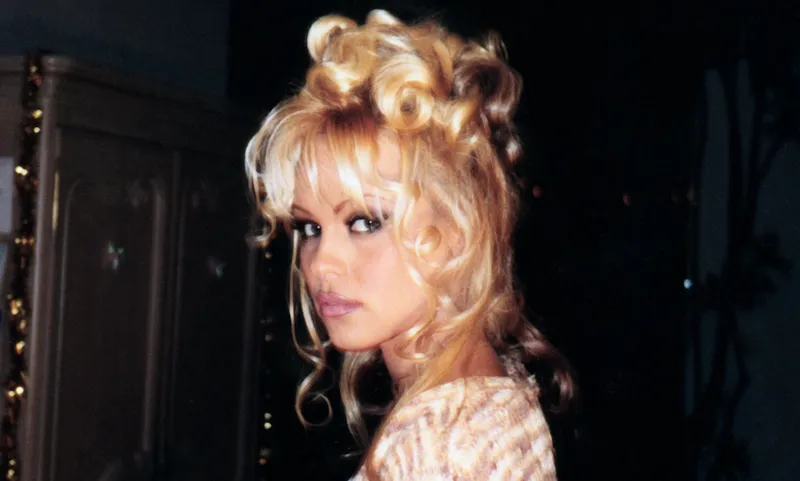 PAMELA90s.png
