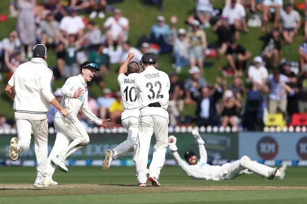 Neil Wagner celebrating his game winning wicket. (Photo: Getty Images)