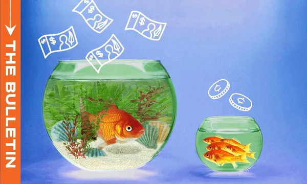 bulletin-wealth-tax
