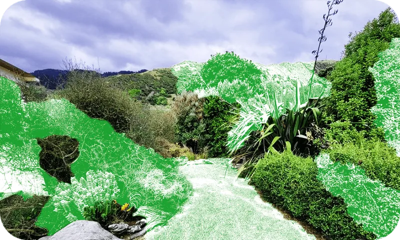 FeatureImage_FPBiodiverseGardens.png
