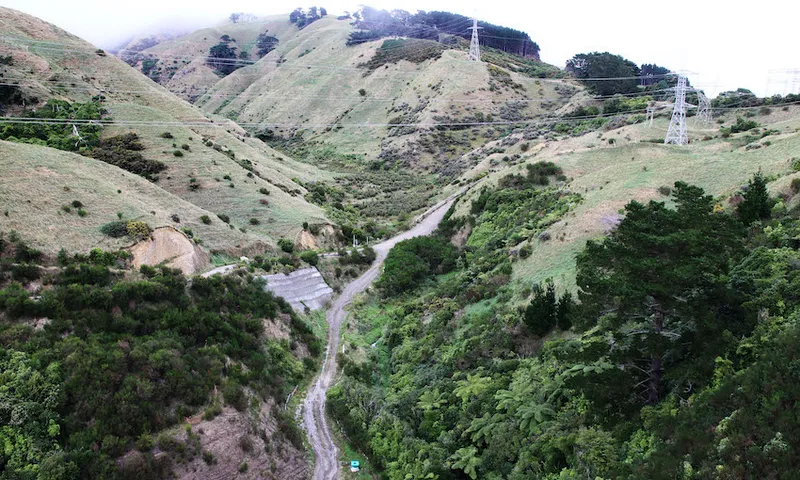Prime Minister Jacinda Ardern Officially Opens Transmission Gully Motorway